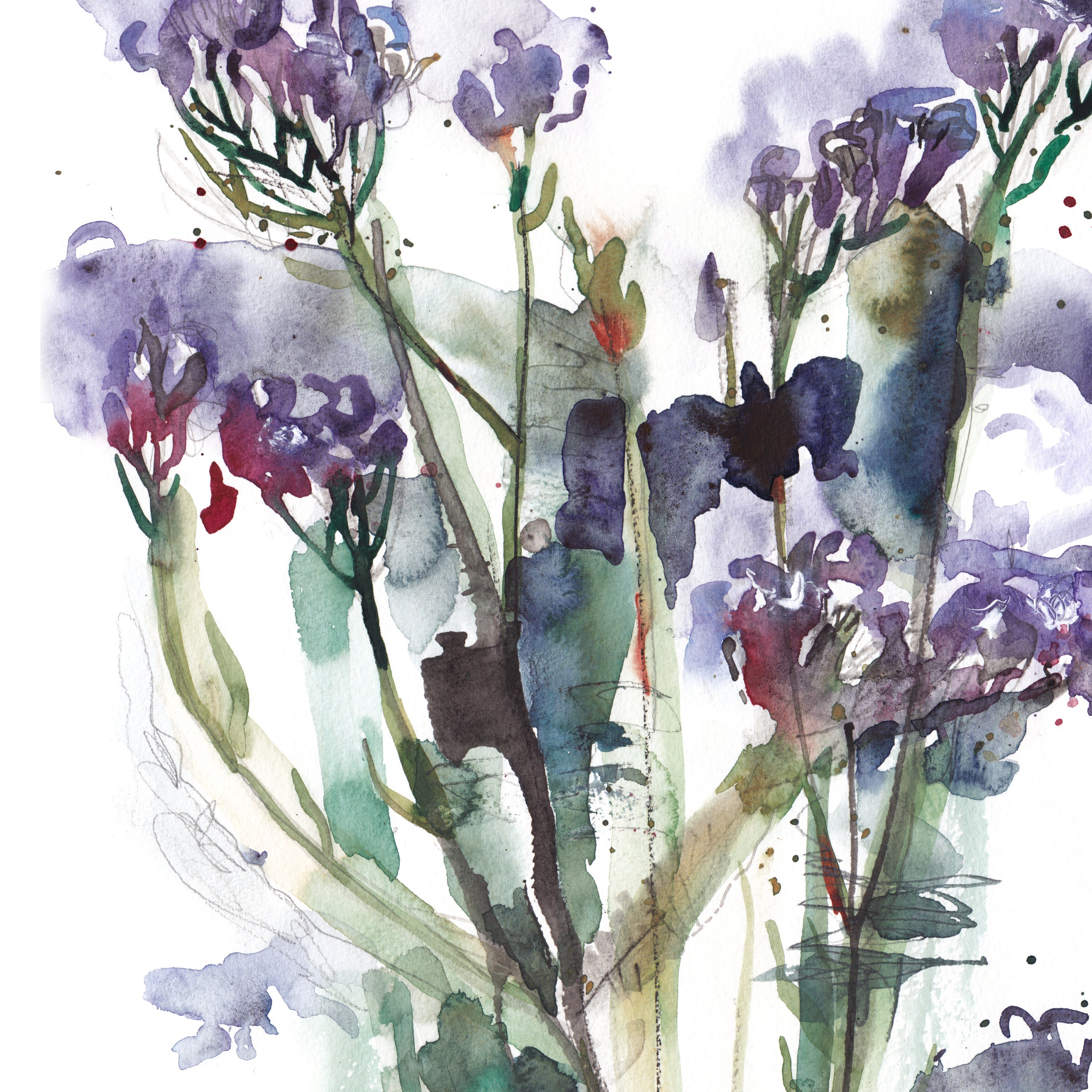 Sea Lavender Purple Flowers Artwork Print Floral Wall Home Decor - Etsy