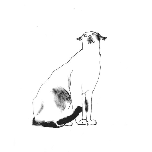 Black White Cat Art Etsy