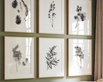 Botanical Wall Art Prints: Neutral Nature Gallery Set of 6