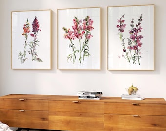 Impression aquarelle Muflier – Lot de 3 impressions d'art mural