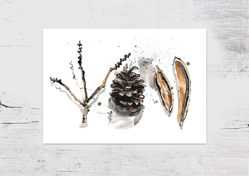 Acorn Print Nature Wall Art, Botanical Art Forest Print, Nature Poster for Living Room Wall Hanging, Rustic Home Decor, Nature Lovers Gift image 5