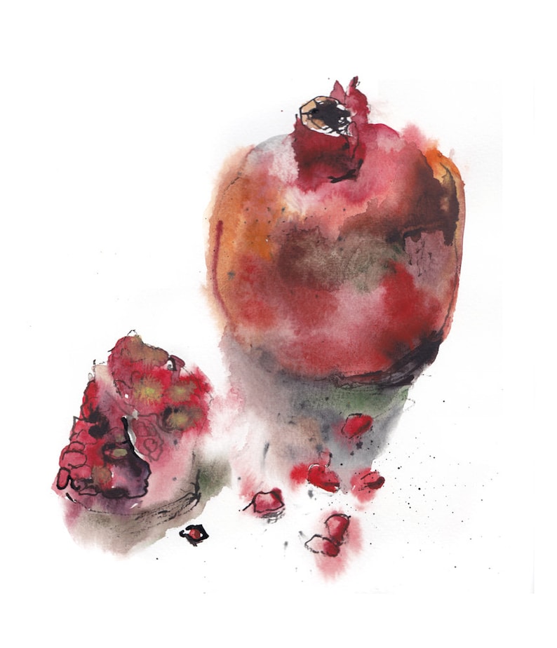 Fruit Art Print, Pomegranate Watercolor, Exotic Fruit Painting, Kitchen Food Art Poster, Biology Wall Art afbeelding 3