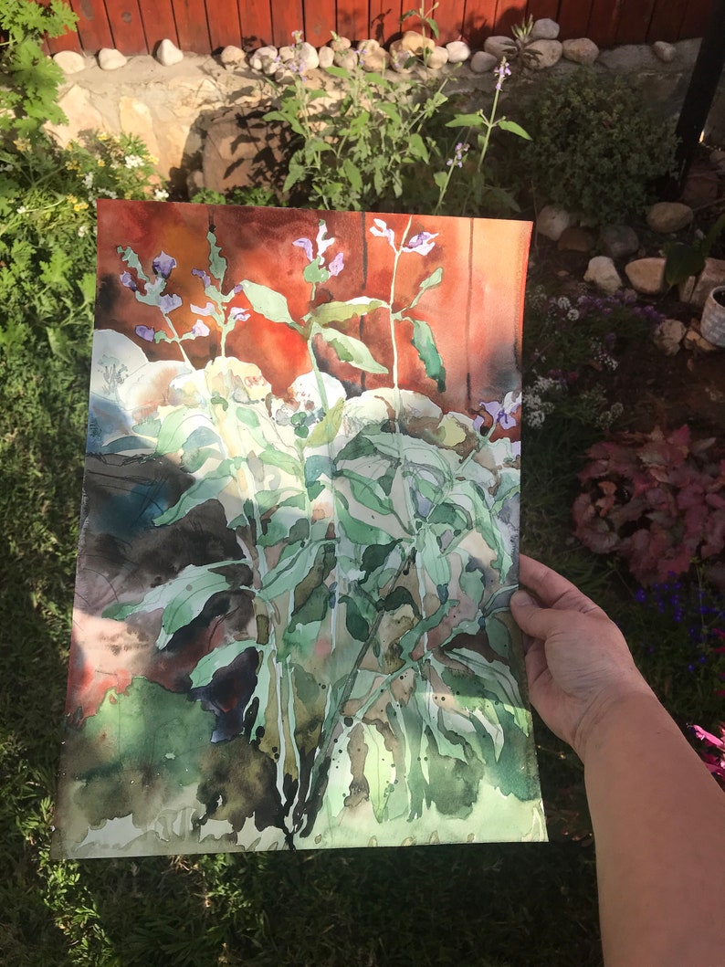 Watercolor painting of flowers fine art print of blossoming Sage