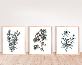 Indoor Garden Vibes: Rosemary, Geranium, and Olive Botanical Prints for Home Decor