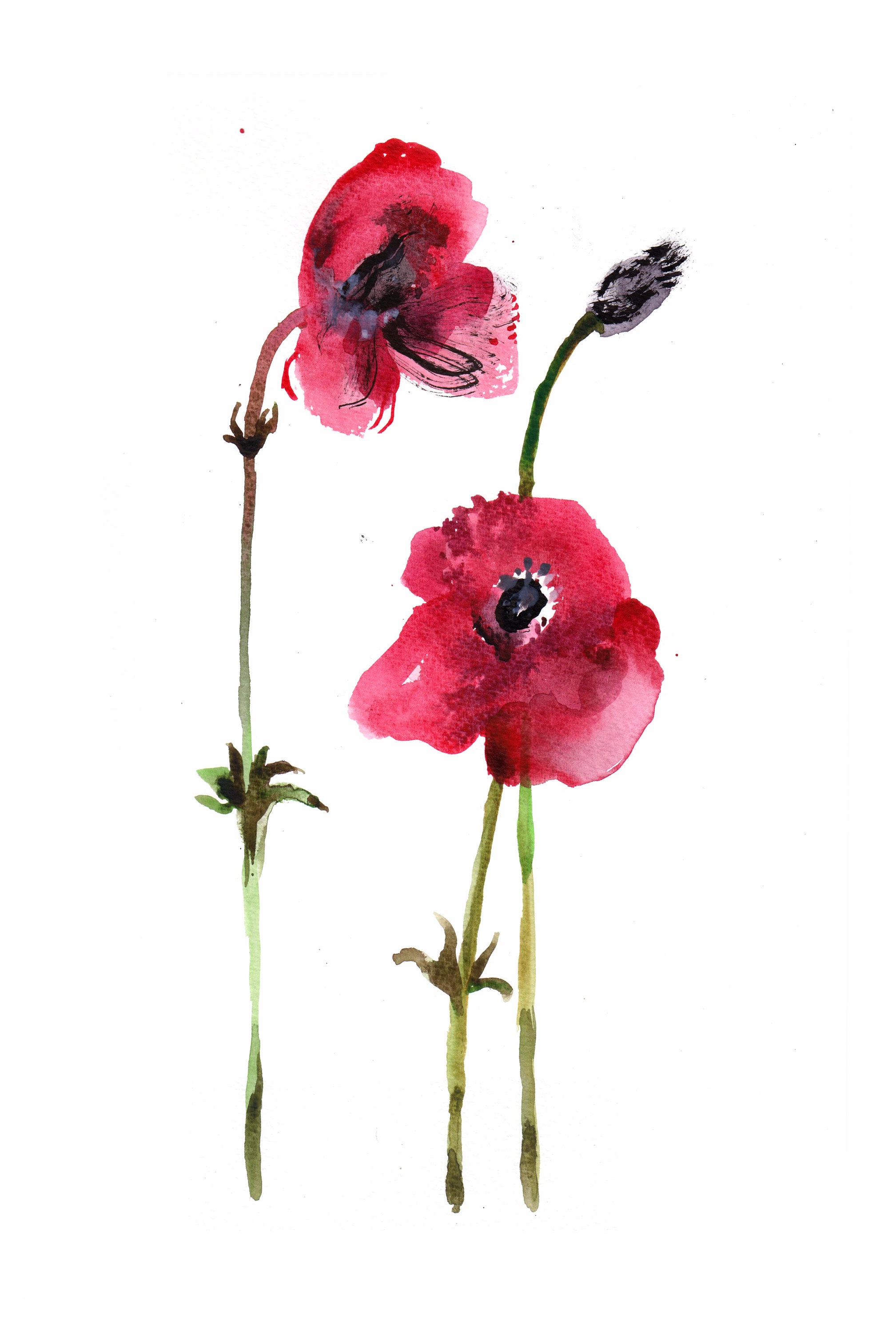 Red Poppy Watercolor Art Print - Minimalist Floral Wall Decor for ...