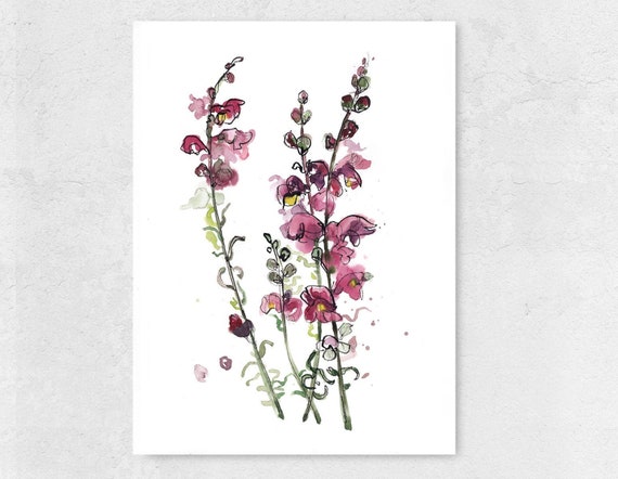 Buy Snapdragon Art Print From an Original Watercolor Painting Online in  India - Etsy