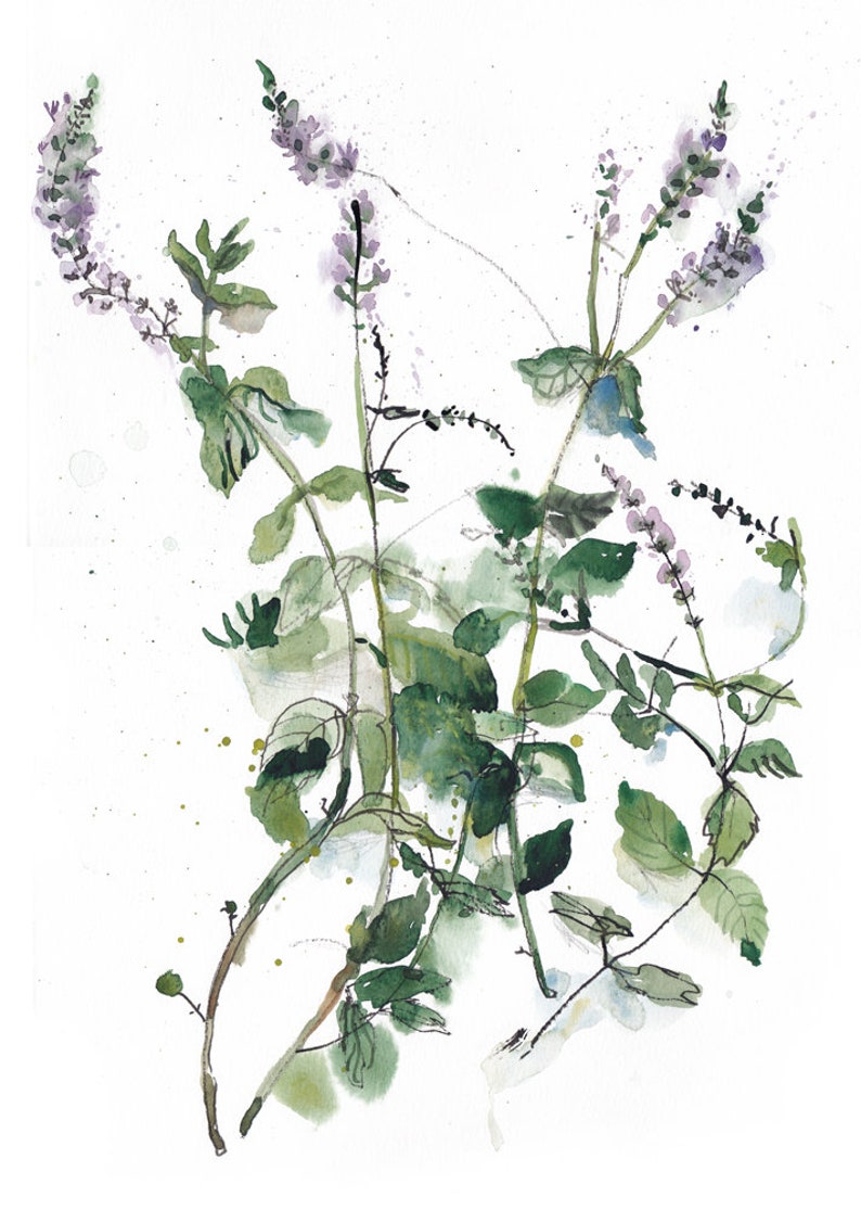 Mint plant painting Watercolor herb art Mint art print Etsy