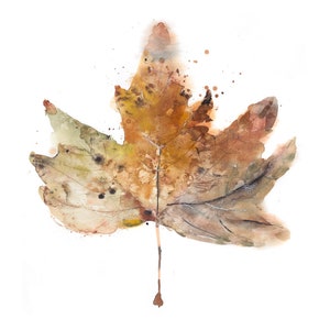 Digitaler AhornBlatt Aquarell Kunstdruck zum sofortigen Download tolle Herbstdekoration