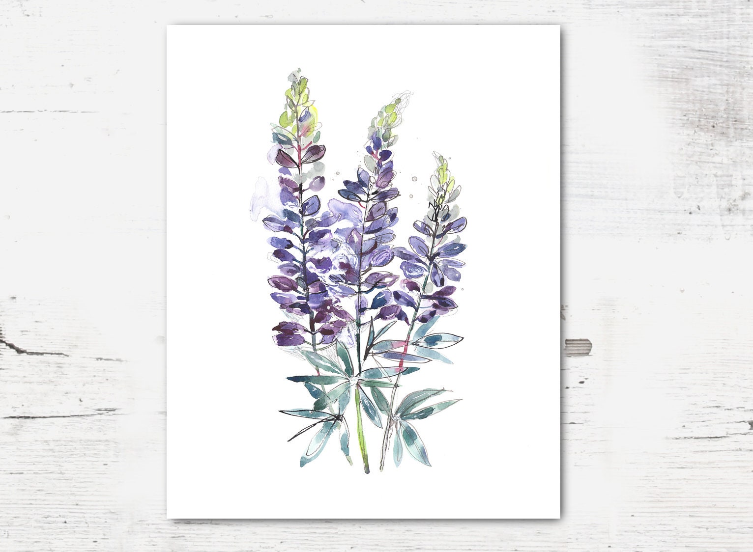 Lupine Art Print Purple Wildflower Print Watercolor Painting - Etsy