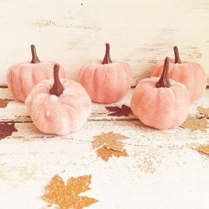 May include: Five small, soft, light pink velvet pumpkins with dark brown stems arranged in a group. Scattered around the pumpkins are several small, flat, decorative maple leaf cutouts in shades of gold, bronze, and copper glitter.