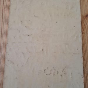 Pu&ograve; includere: Carta invecchiata, bianco sporco, con macchie e segni visibili. La carta ha una forma rettangolare e sembra essere d'epoca. La superficie mostra segni di usura, con alcune macchie scure e macchie.