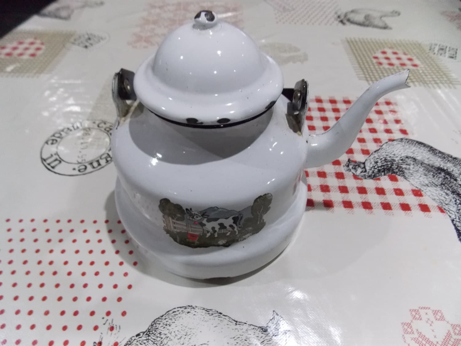 Bouilloire en Émail Français