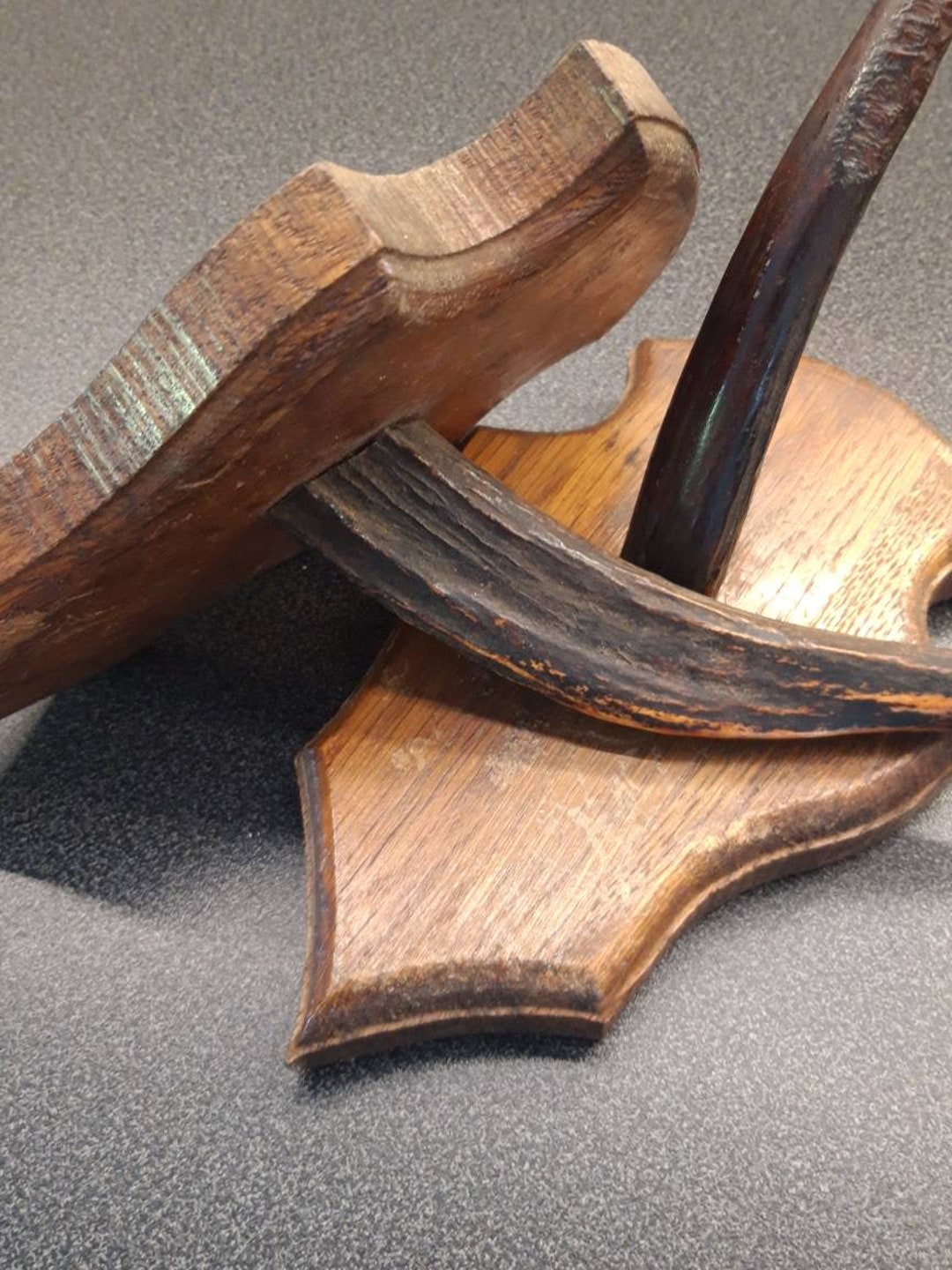 Pair of Taxidermy Horns Coat Hooks Etsy