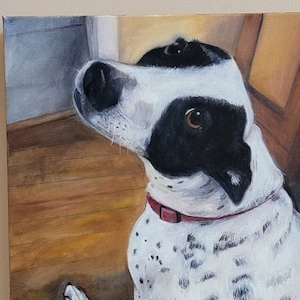 terrier painting, jack russell terrier painting, black and white dog portrait, black spotted dog, pet painting, dog portrait oils