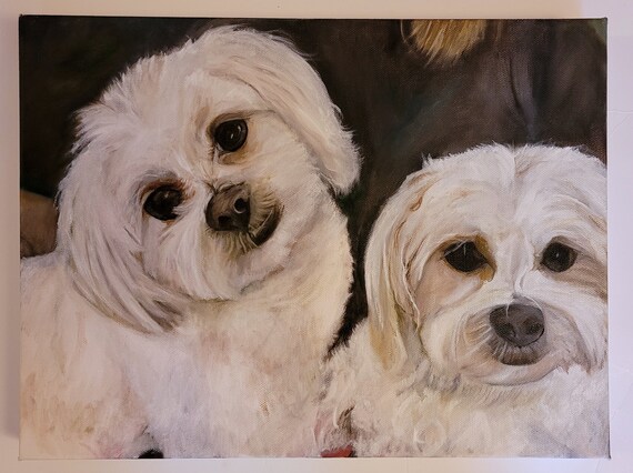 Maltese Pet Portrait portrait Pet Painting Dog Painting maltese dog painting white maltese 2 maltese dogs white fluffy dog