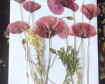 9 flores de papoula (naturais, prensadas) para projetos DIY, arte em resina, decoração, sabonete
