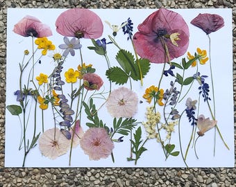 30 Wildflowers Field Pressed Flower set, Real Dried Flowers, Scrapbooking, Floral Arrangements, edible flowers for cake, Flowers For Candles