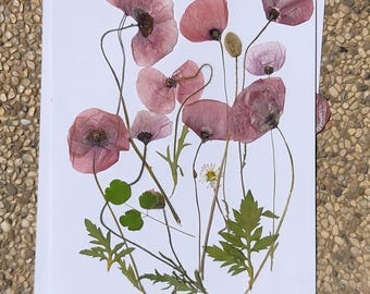 Poppies, pressed and dried  different size available big meadow blossoms, natural for diy projects, resin art, decoration, cake art