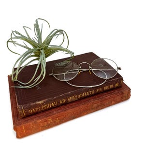 Vintage 1/10 12K GF Eyeglasses / Vintage Glasses / Antique Glasses / Gold Filled Eyeglass Frames / Steampunk Eyewear / Dark Academia