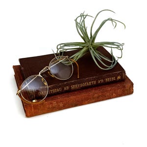 12K GF Bifocals / Vintage Eyeglasses / Antique Eyeglasses / Gold Filled Eyeglass Frames / Steampunk Eyewear / Dark Academia