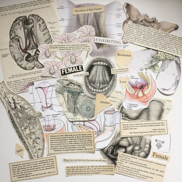 Feminist Ephemera Bundle. Feminism, vintage advice, female anatomy etc, paper collage pack for scrapbooking