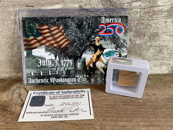 ジョージ・ワシントンのエルムのオリジナル作品 アメリカ独立戦争250