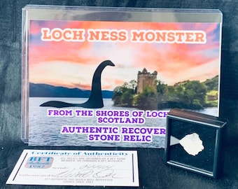 Loch Ness Monster Authentisch Loch Ness Rock Schottland