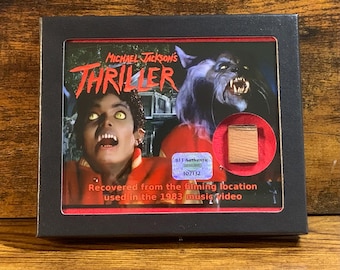 ヴィンテージ ビニール マイケル・ジャクソン - スリラー 80年代 初版