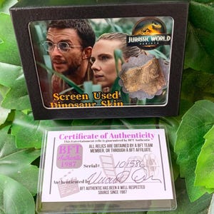 Jurassic World Rebirth Authentic Dinosaur Skin Original Movie Prop