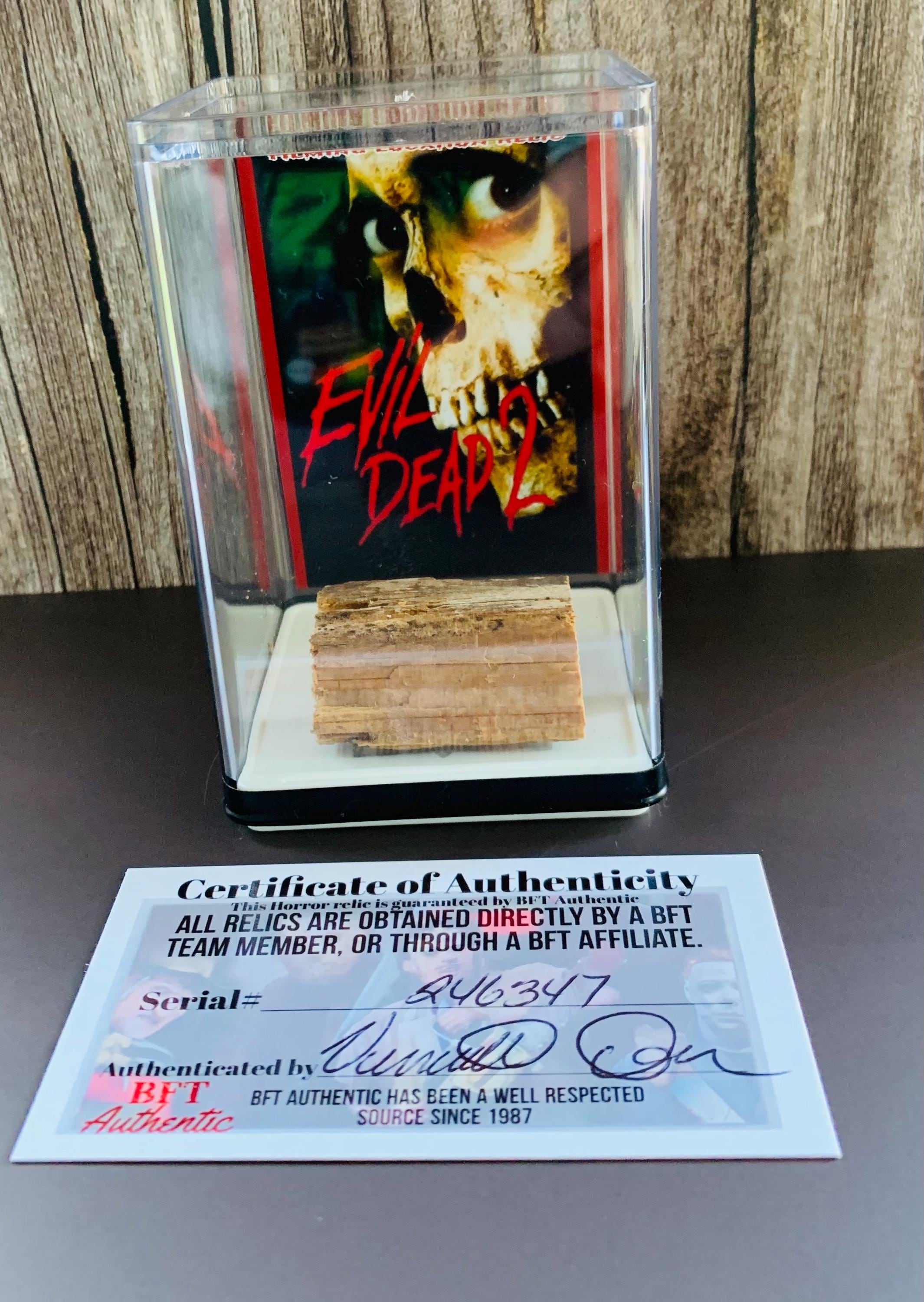 Evil Dead 2 Cabin Filming Location Authentic Horror Wood Relic in