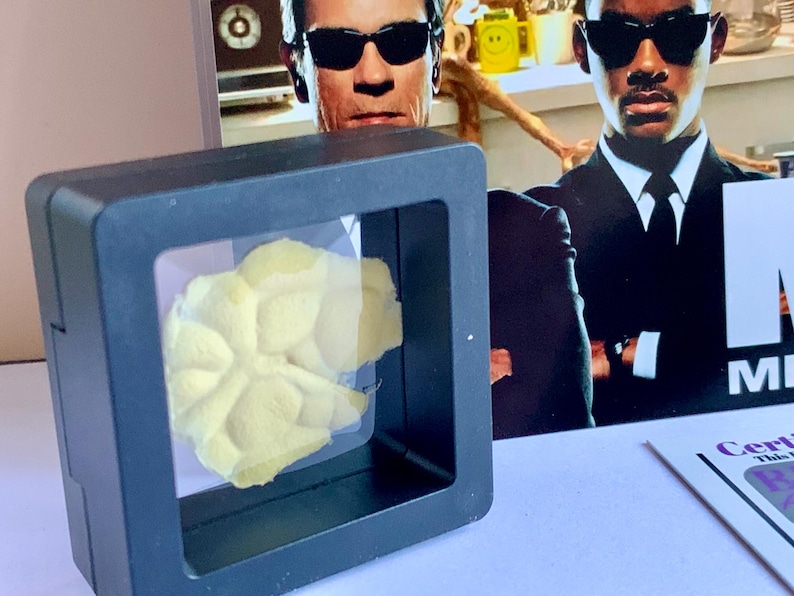 Puede incluir: Una vitrina negra con una ventana transparente que muestra un objeto amarillo en forma de flor. El fondo presenta un cartel de pel&iacute;cula con dos hombres con trajes negros y gafas de sol. Se ve un certificado.