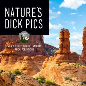 Calendario da parete Natures D**k Pics 2026 / Regali divertenti / Regalo per uomo / Regali per elefante bianco / Babbo Natale segreto / Natale divertente