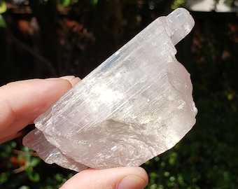 Natural Pink Kunzite Crystal - Afghanistan - 152 grams
