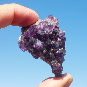 A Grade Amethyst Cluster - Uruguay - 39.5 grams