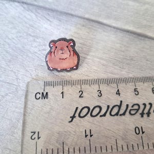 May include: A brown and white guinea pig pin with a black outline. The pin is about 1 inch in diameter and is sitting on a wooden surface next to a ruler.