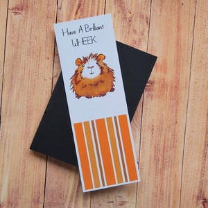 May include: A white bookmark with orange and brown stripes. The bookmark features a cartoon illustration of a guinea pig and the text "Have A Brilliant WHEEK".