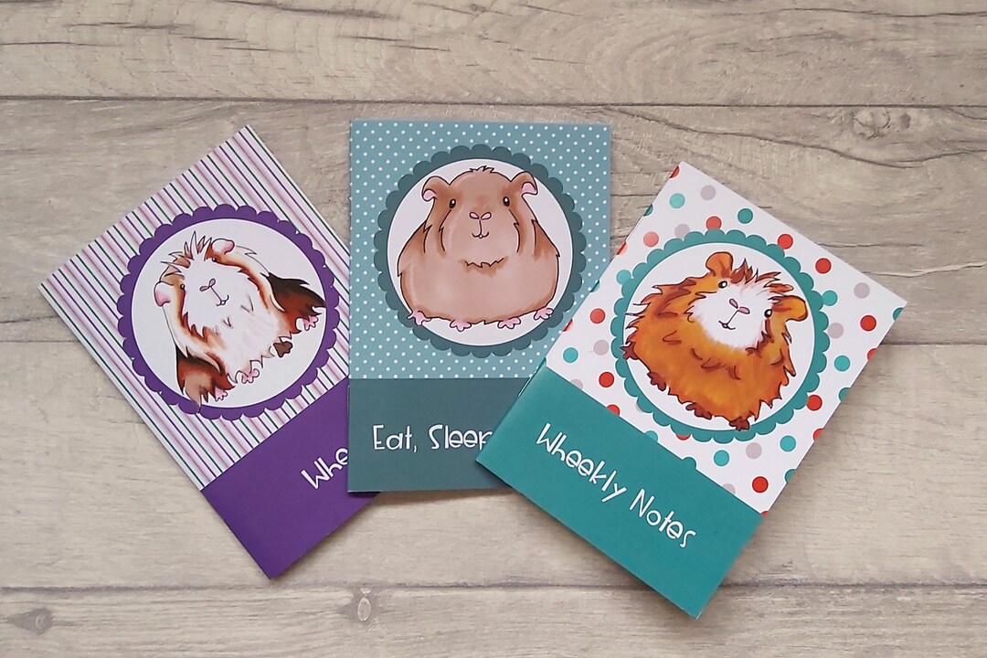 Guinea Pig Notebook Set of 3, Guinea Pig Notebook Multipack, Guinea Pig Lover Gift, Guinea Pig