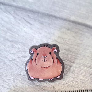 May include: A brown and white cartoon guinea pig pin. The guinea pig is sitting with its front paws tucked in and has a friendly expression.
