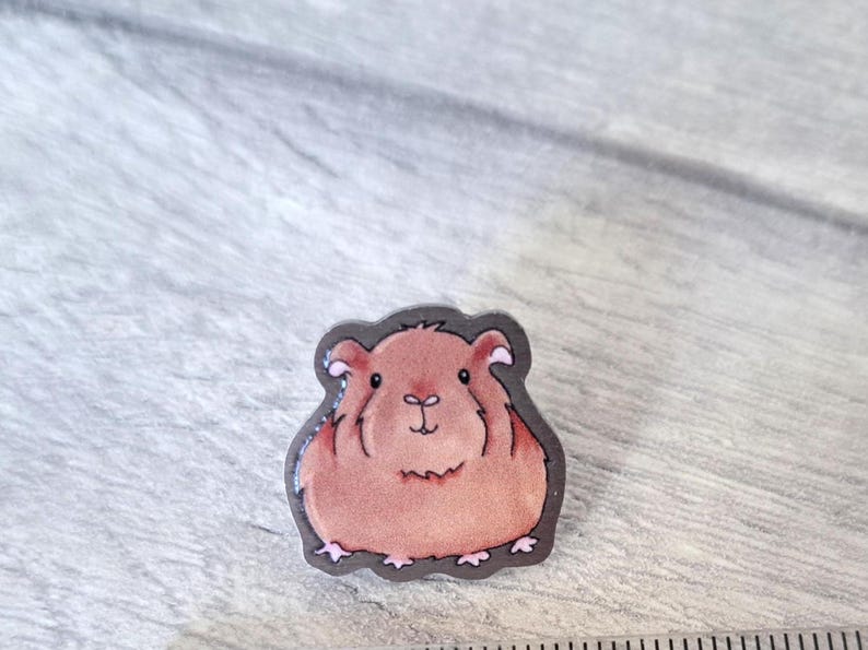 May include: A brown and white cartoon guinea pig pin. The guinea pig is sitting with its front paws tucked in and has a friendly expression.