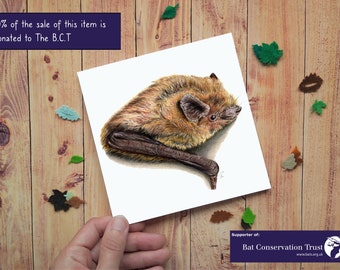 Bat Card, Bat Greeting Card, Pipistrelle Bat, Common Pipistrelle, Nature Lover Card, Bat Lover Card, Wildlife Card, Animal Card, Nature Card