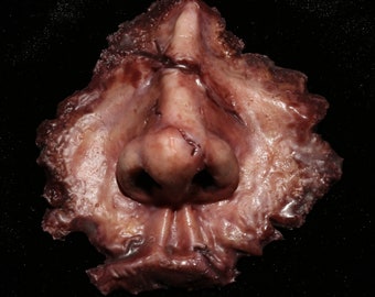 Severed Nose with Facial Skin