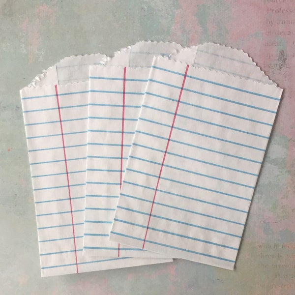 Mini Notebook Paper Bags Novelty Bags for Gifting, Crafting, Junk Journals, Smash Books, Candy Bags with Notebook Paper Design School Events