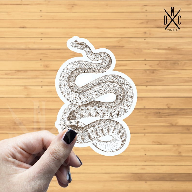 RATTLESNAKE Vinyl Decal Sticker Car Window Wall Bumper Macbook Laptop Snake