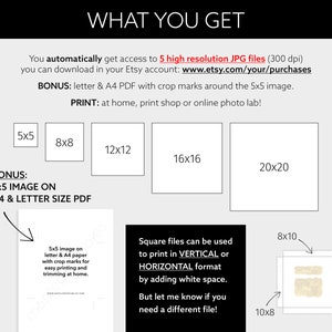 May include: A graphic showing the different sizes of digital prints available for purchase. The sizes are 5x5 inches, 8x8 inches, 12x12 inches, 16x16 inches, and 20x20 inches. The graphic also includes a bonus 5x5 inch image on A4 and letter size PDF.