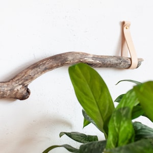 Branch hanger, canoe paddle hanger, decorative paddle hanger, branch hanging decor, hooks for tree branch, branch wall hanging, oar hanger