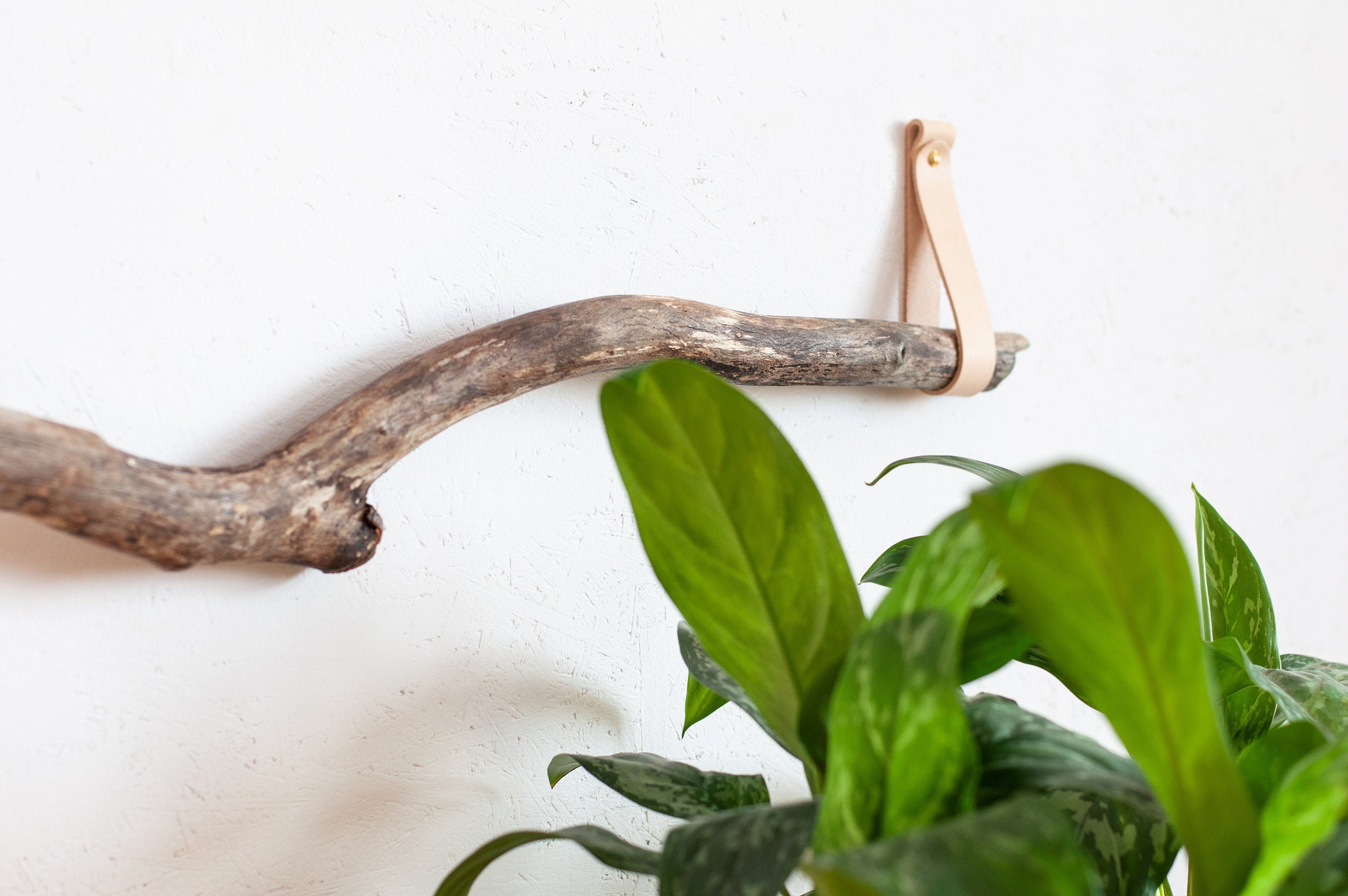 Branch Hanger Canoe Paddle Hanger Decorative Paddle Hanger Etsy