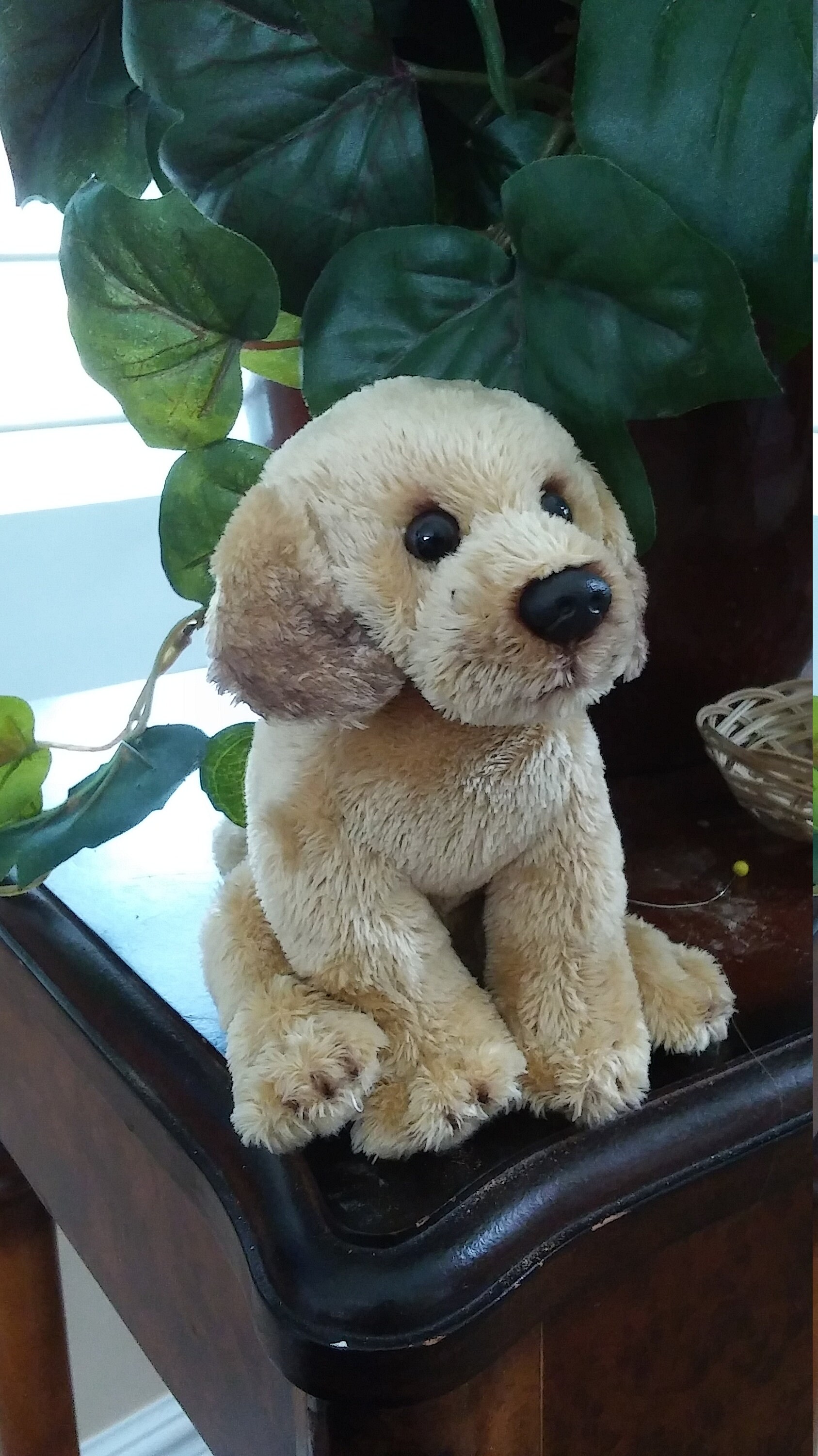 golden retriever doll