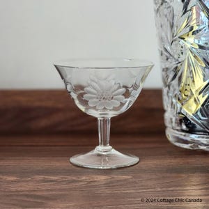 "Hughes Cornflower Etched Crystal Coupé Champagne / ""Niedriges Sherbet-Glas, glatter Stiel, Optik""."