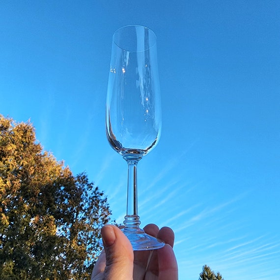 Vintage Import Assoc Daniela Champagne Glass Flutes, Set of 2