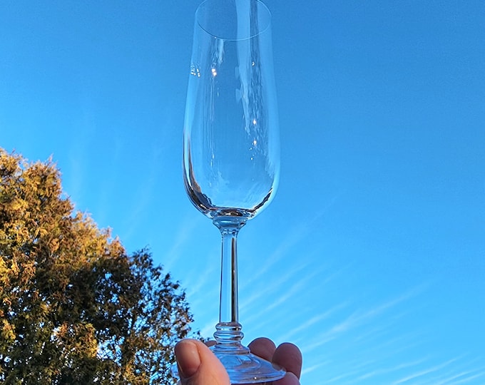 Vintage Import Assoc Daniela Champagne Glass Flutes, Set of 2